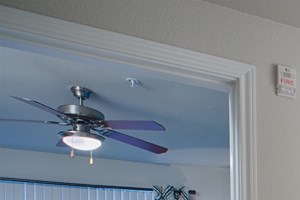 one bedroom apartment for rent dallas